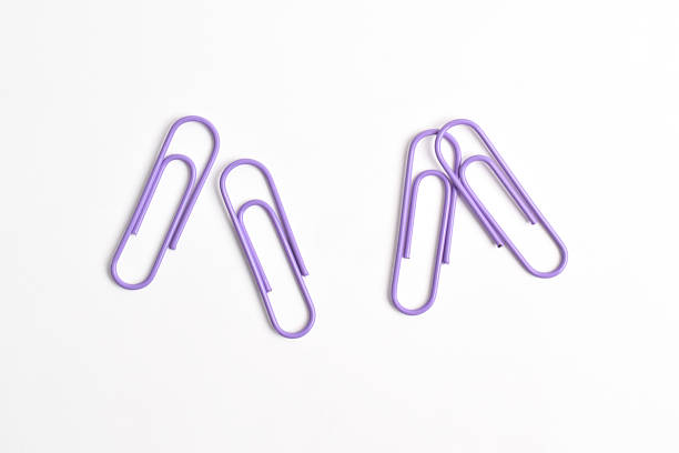 Purple paper clips isolated on white background