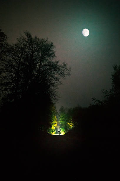 istock Man standing in forest under moon and gloomy sky. Horror scene. 2226004112