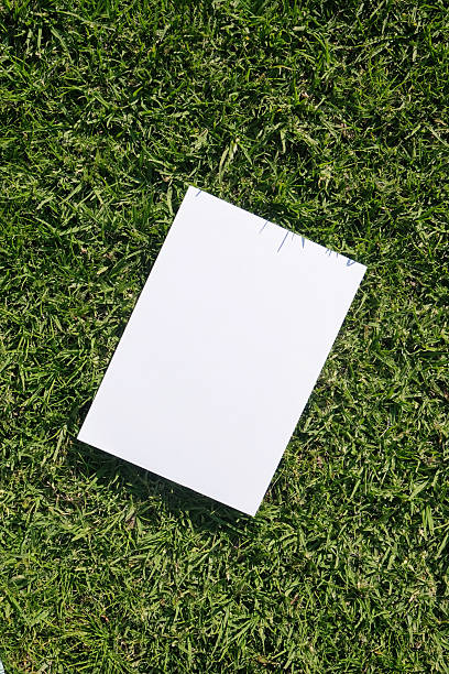 istock Mockup blank poster on green grass background 2226005477