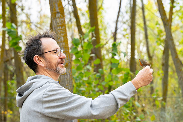 istock A man holds a robin in his hand during a bird banding day. 2226005711