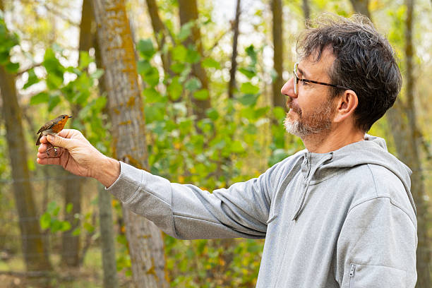 A man holds a robin in his hand during a bird banding day.