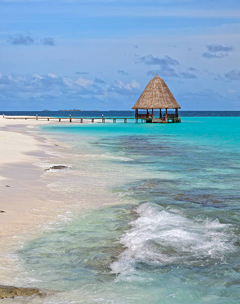Tropical Paradise Beach Landscape