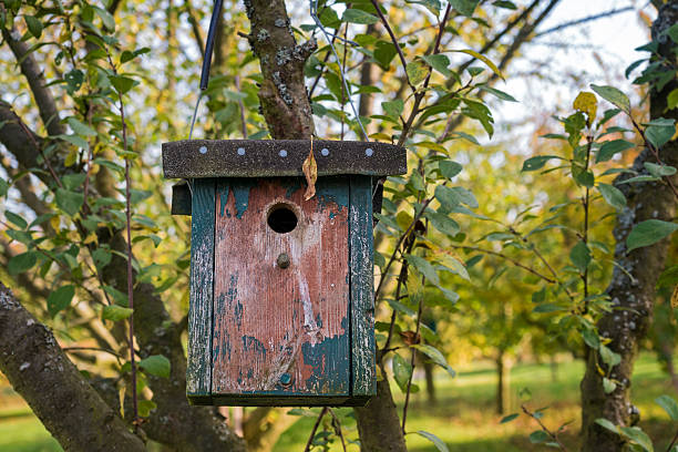A joyful moment shared by a father and his young daughter placing a birdhouse onto a tree in a park setting, showcasing an act of wildlife care and togetherness.