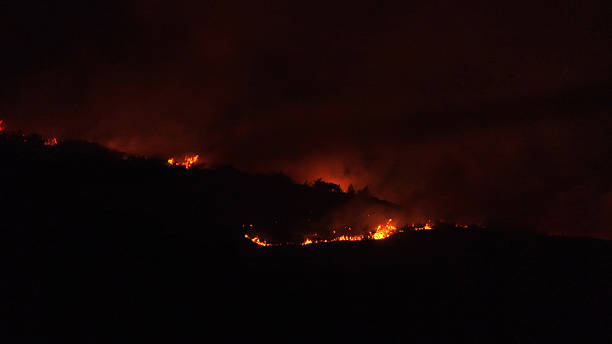 istock Night photo of forest fire 2226006461