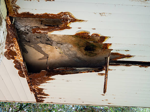 istock Metal ceiling paneling rotted due to water leaks 2226006765