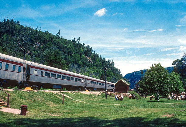 istock Agawa Canyon Train at Picnic Stop - 1982 2226019737