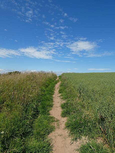 istock A narrow dirt path winds through a vibrant countryside under a bright blue sky scattered with soft white clouds. 2226022788