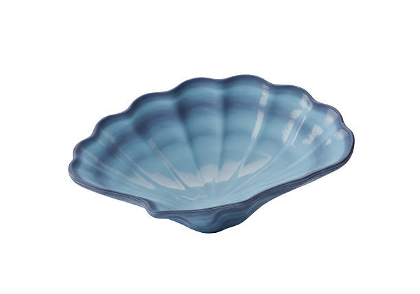 Isolated Decorative Bowl Sea Shell Style