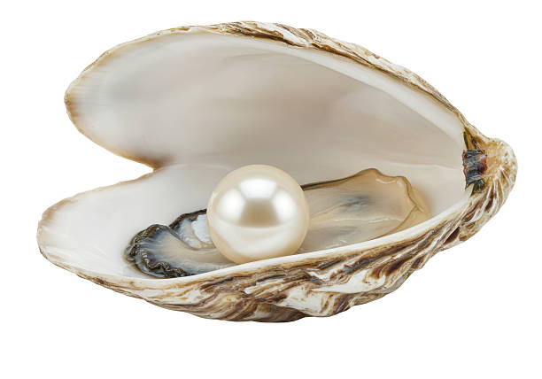 istock Isolated Open Oyster Shell with a Round White Pearl 2226025901