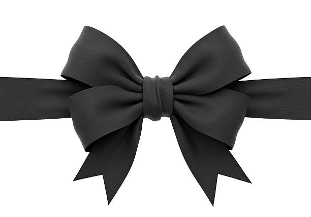 Isolated Elegant Black Bow Tied with Ribbon