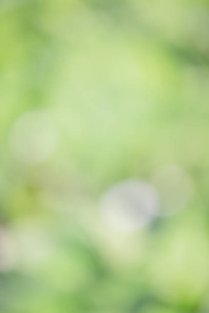 istock Vertical frame defocus light green natural. Blurred plants, defocus, bokeh. 2226037717