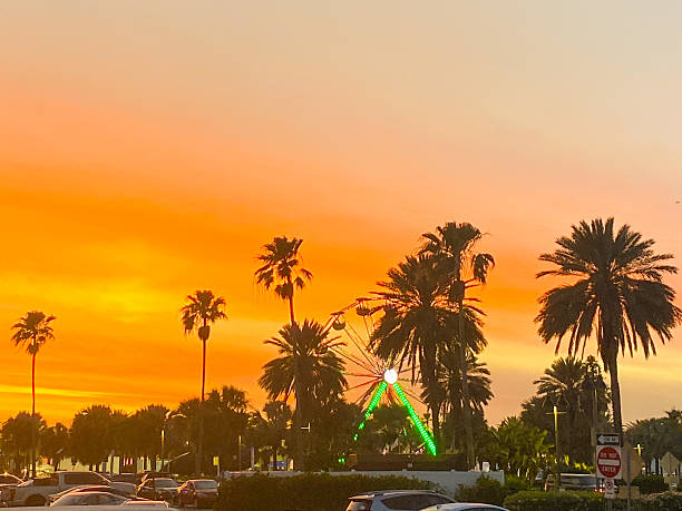 istock An orange sky at sunset behind palm trees 2226042347