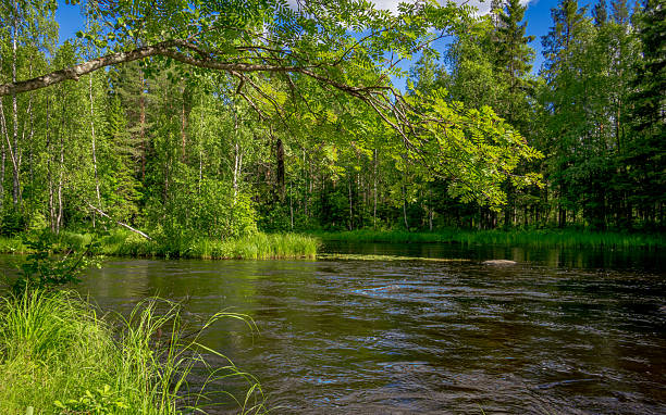 istock Countryside river in Finland 2226045990