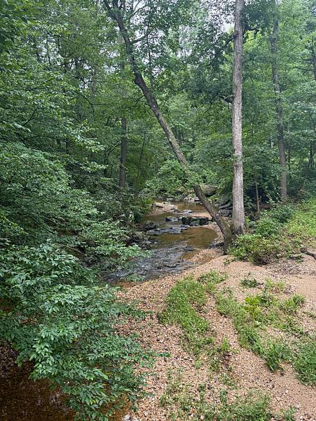istock “River Life: Fish and  Flow in Northeast Maryland “ 2226048938