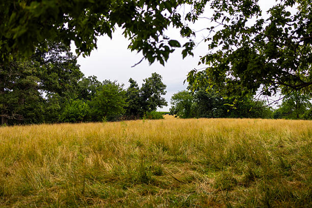 istock pioneer cemetery 2226055279