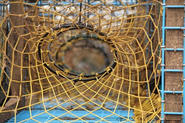 Lobster traps stacked neatly on a pier in Nova Scotia. Tangled ropes and buoy markers hint at a long day's work.