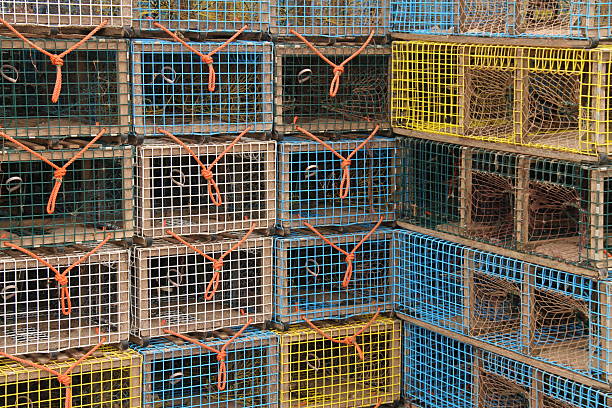 istock Authentic Lobster Fishing Scene 2226059361