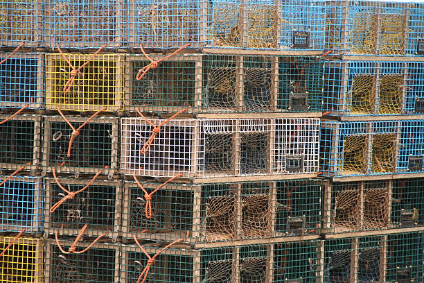 istock Lobster Catch Gear Outdoors 2226059387