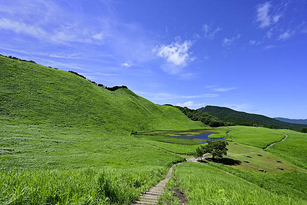 Soni Plateau: A beautiful summer green carpet