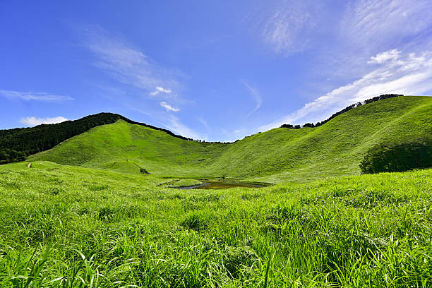Soni Plateau: A beautiful summer green carpet