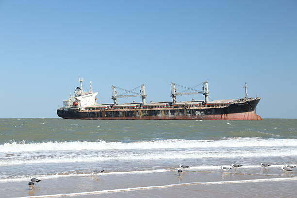 At approximately 8:00 a.m. on September 19, 2022, the BLUE WAYS ran aground and took in water near Chengshan Town, Weihai City, due to the typhoon. There were 25 people on board in urgent need of rescue. Upon receiving a notification from the Shandong Provincial Maritime Search and Rescue Center, the North Sea Rescue Bureau of the Ministry of Transport dispatched the professional rescue vessel Beihaijiu 111 and the rescue helicopter B-7126 to the scene. At the time, the accident site experienced a northerly wind of force 8 and wave heights of 2–3 meters.