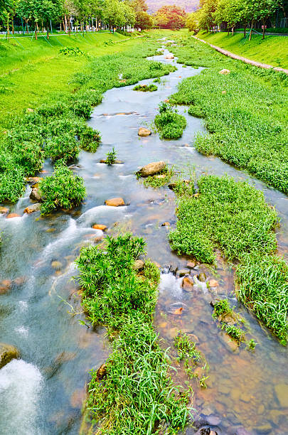 istock Shallow alpine river with a fast flow and stones 2226070315