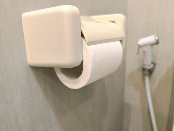 istock Wall-mounted toilet paper holder in a clean and minimal bathroom setting 2226070706