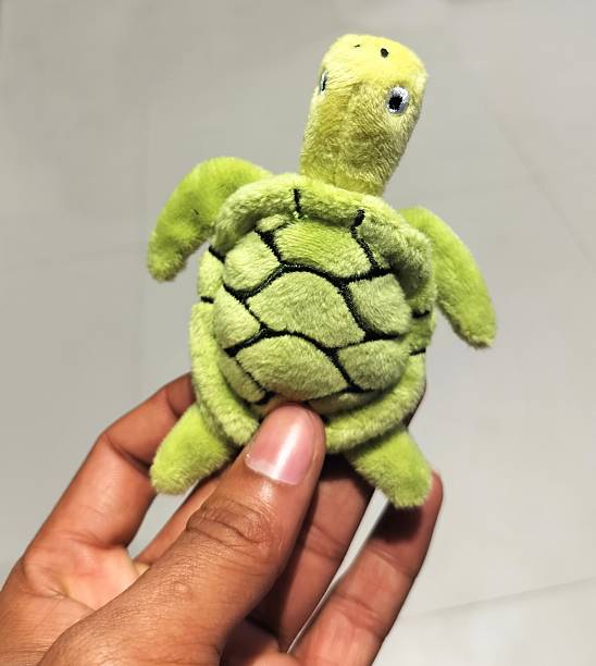 istock Cute soft turtle small plush toy in the hand 2226071747