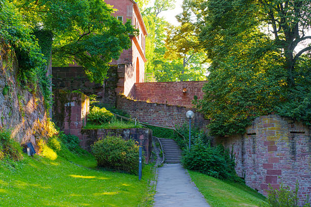 Serene pathway winding through greenery, with historic stone walls under soft evening light in Heidelberg, Germany.