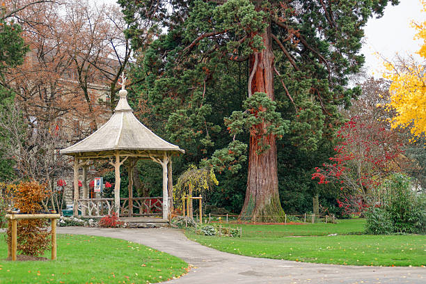istock Autumn day in Geneva, Switzerland 2226094355