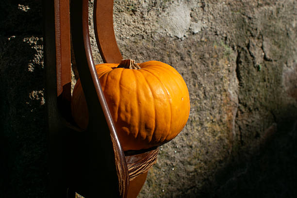 Orange Pumpkin Autumn Decoration Harvest Celebration