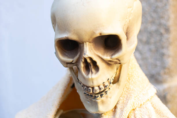 Skeleton Face Closeup Spooky Halloween Mask Detailed Skull Halloween Decoration Bone Structure