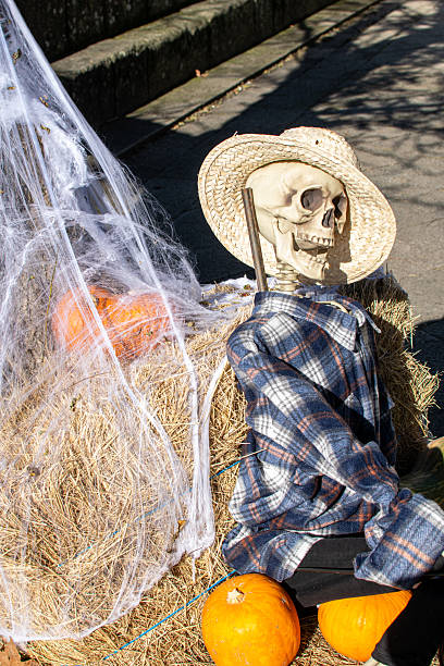 An illuminated jack o'lantern atop a scarecrow wearing a witch's hat rests on the side of a hill and in front of a rising moon and a vibrant orange sky on Halloween night.