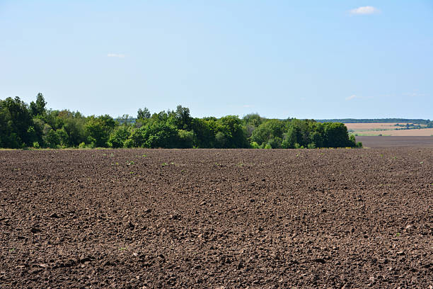 istock Ploughed field with trees and blue sky on a sunny day 2226099115