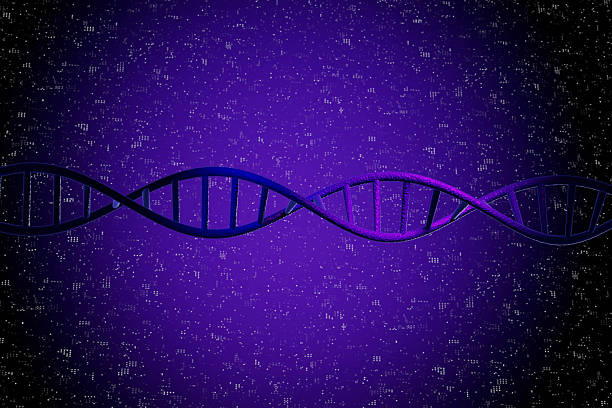 A purple background with a blue and purple DNA strand. The strand is very long and has a lot of detail