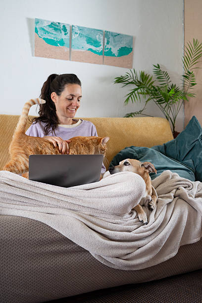 istock Woman working from home with pets on sofa 2226101786