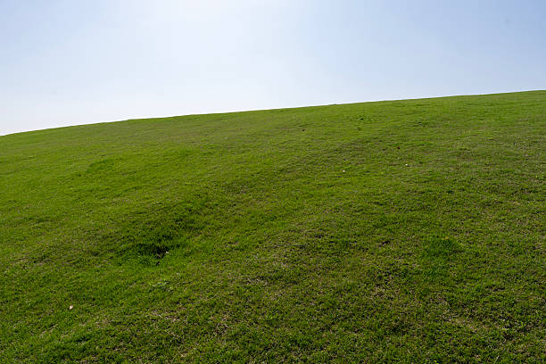 istock The green grassland under the blue sky 2226104207