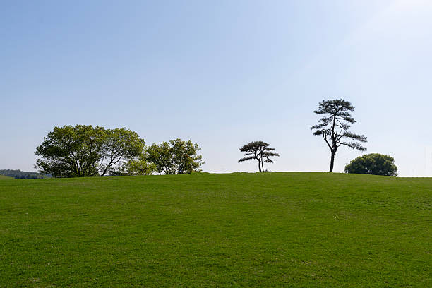 istock The green grass and trees under the blue sky 2226104277