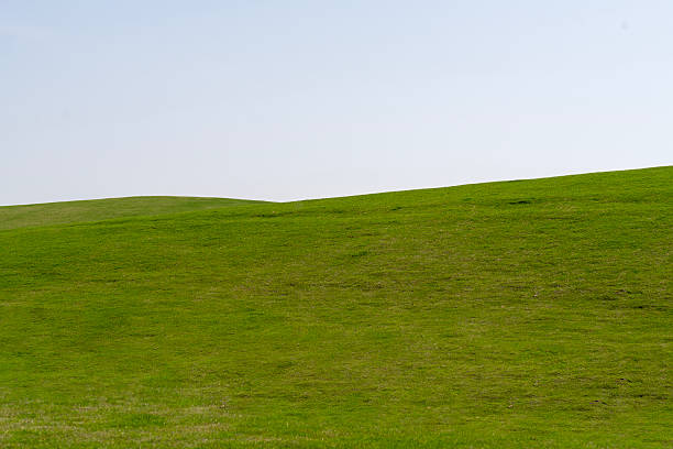 istock The green grassland under the blue sky 2226104355