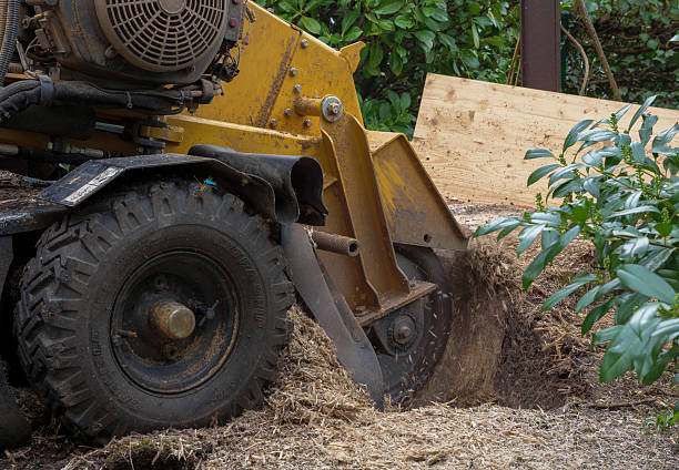 istock Stump grinder for tree stump removal, Tutzing, Bavaria, Germany 2226113312