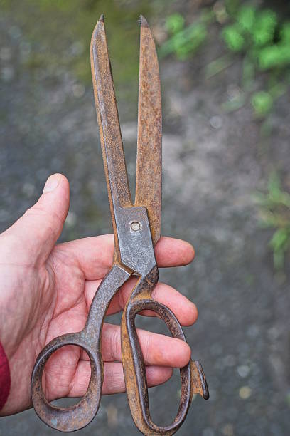 Top view of open vintage rusty garden shears with red handles lying on a black slate stone surface