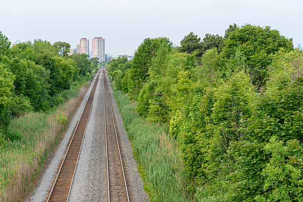 Railway tracks stretch into the distance through dense green foliage, with tall apartment buildings visible on the horizon under a hazy sky.