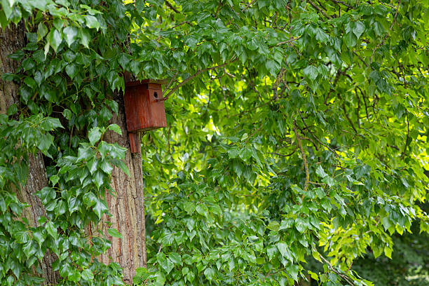 Birdhouses hang on one post