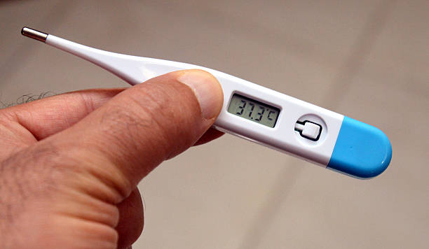 istock digital electronic thermometer display numeric values, medical clinical thermometer is a device used for measuring the body temperature of a human 2226115514