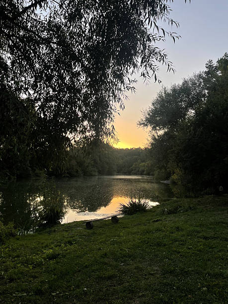 istock Serene sunset over calm lake surrounded by greenery 2226116345