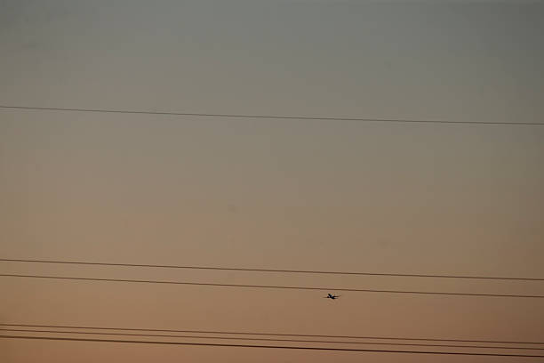 A bird is gracefully flying high above an overhead power line that stretches across the vast blue sky, creating a beautiful scene