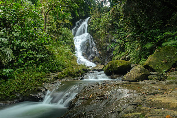 istock Scenic Waterfall sawer malasari, Bogor, west java, Flowing Through a Lush Green Forest With Stunning Serenity 2226119176