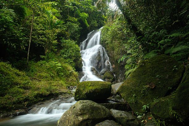Scenic Waterfall sawer malasari, Bogor, west java, Flowing Through a Lush Green Forest With Stunning Serenity