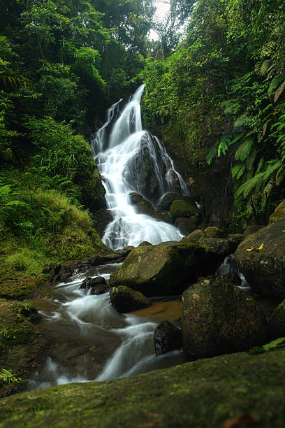 istock Scenic View of a Waterfall Surrounded by Greenery in a Forest Landscape 2226119215