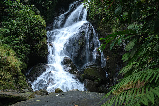 istock Scenic Waterfall Flowing Amidst Lush Forest Vegetation in a Peaceful Natural Setting 2226119224